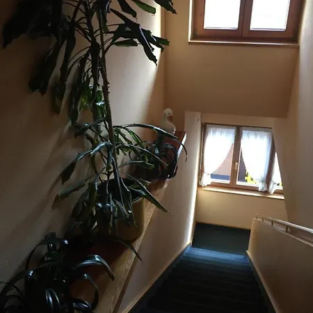Apartment Apart Dr. Walch Pettneu am Arlberg